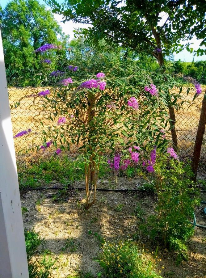 La Casa Di Tara B&B Armonia E Natura 레카나티 외부 사진