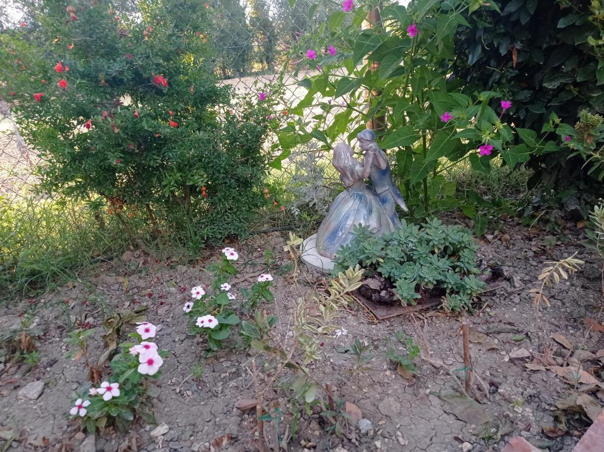 La Casa Di Tara B&B Armonia E Natura 레카나티 외부 사진