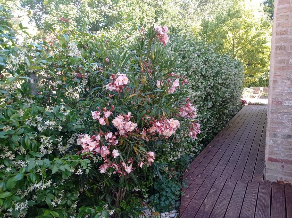 La Casa Di Tara B&B Armonia E Natura 레카나티 외부 사진