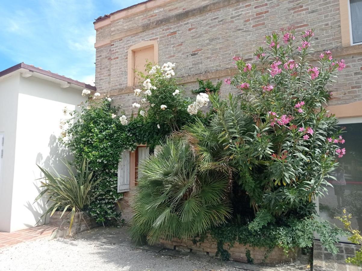 La Casa Di Tara B&B Armonia E Natura 레카나티 외부 사진