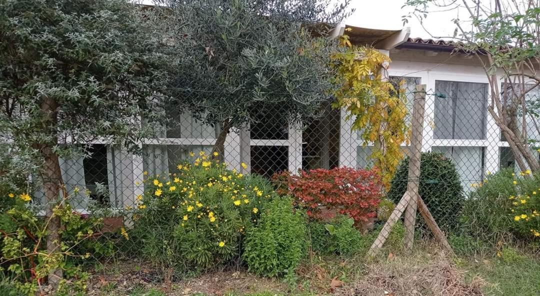 La Casa Di Tara B&B Armonia E Natura 레카나티 외부 사진