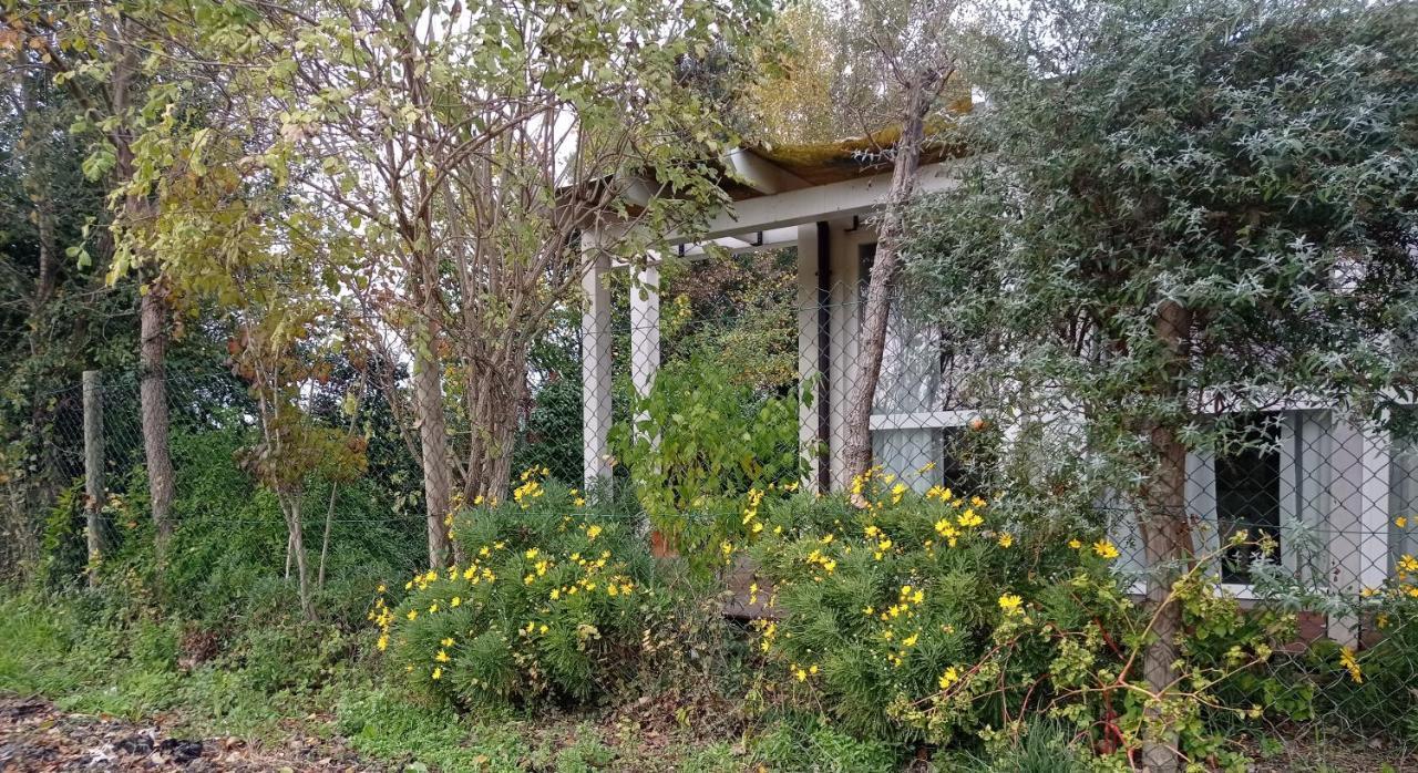 La Casa Di Tara B&B Armonia E Natura 레카나티 외부 사진