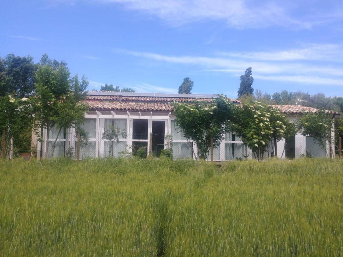 La Casa Di Tara B&B Armonia E Natura 레카나티 외부 사진