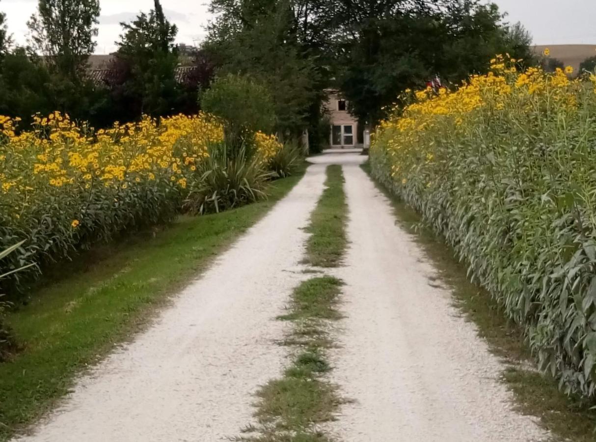 La Casa Di Tara B&B Armonia E Natura 레카나티 외부 사진