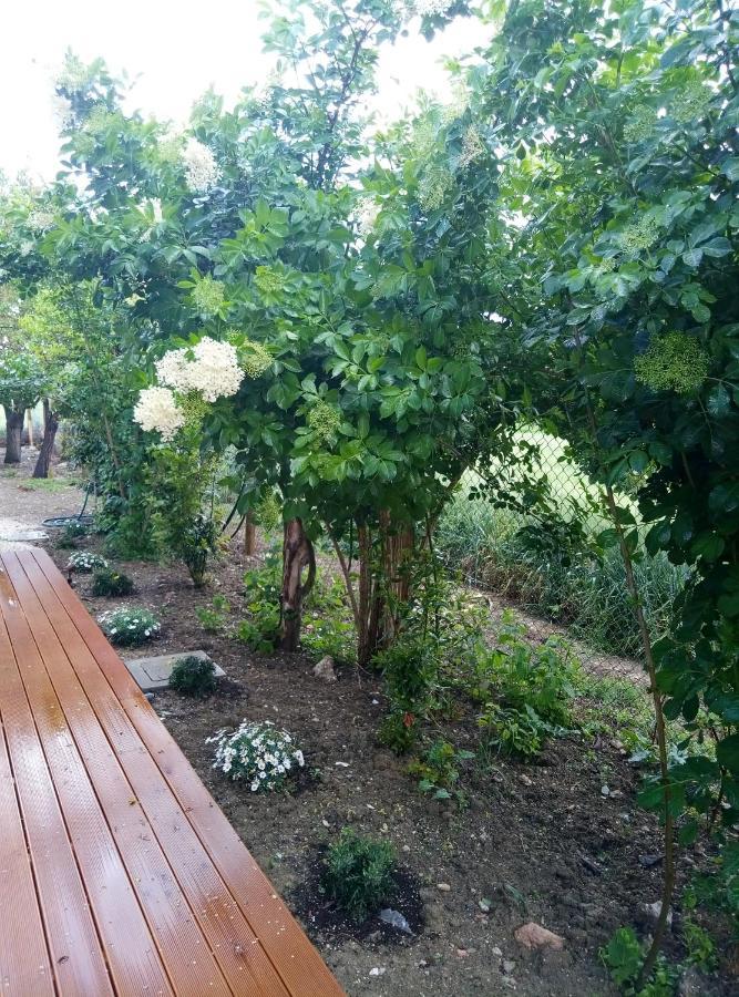 La Casa Di Tara B&B Armonia E Natura 레카나티 외부 사진