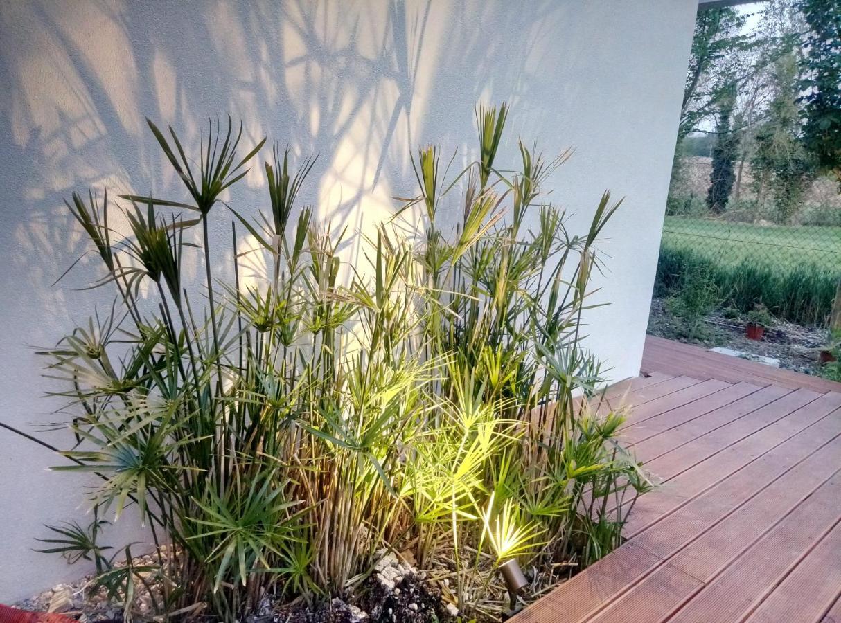La Casa Di Tara B&B Armonia E Natura 레카나티 외부 사진