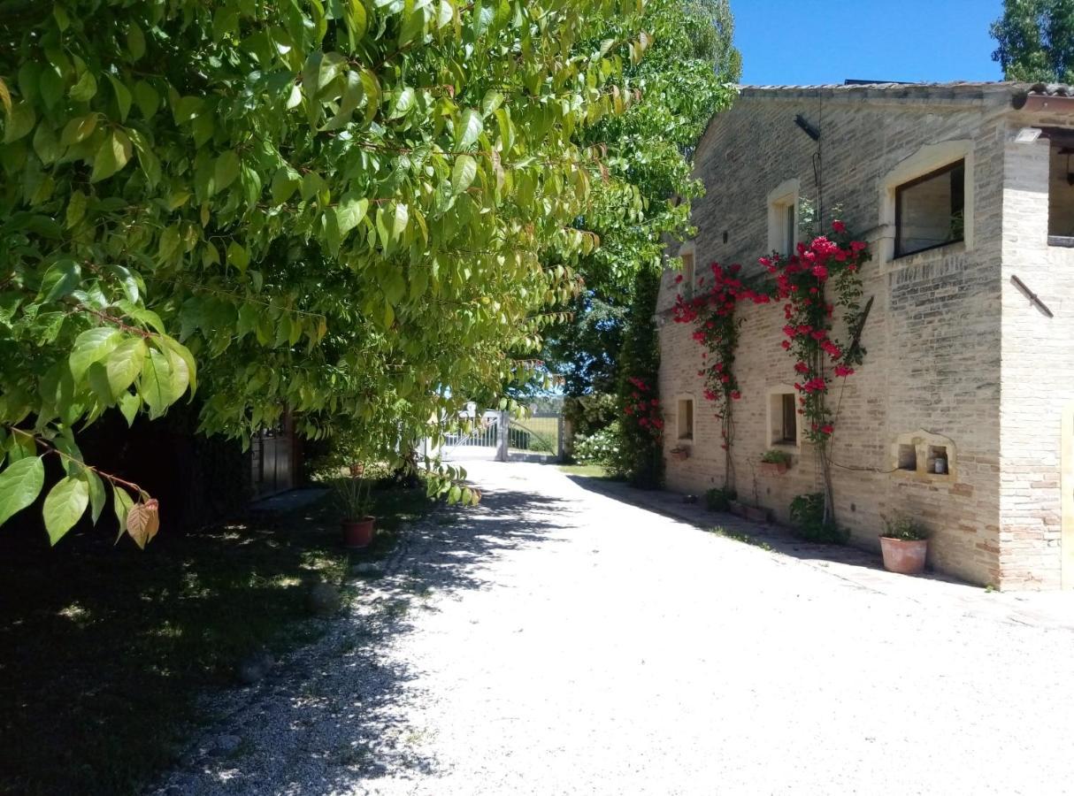 La Casa Di Tara B&B Armonia E Natura 레카나티 외부 사진